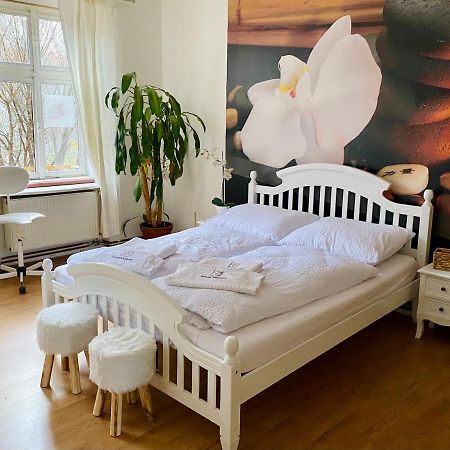 Beauty-Spa Apartment Дечин Экстерьер фото
