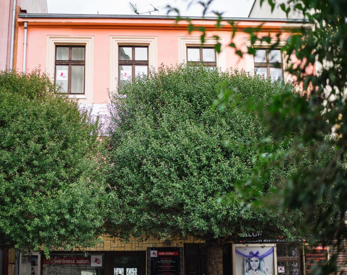 Beauty-Spa Apartment Дечин Экстерьер фото