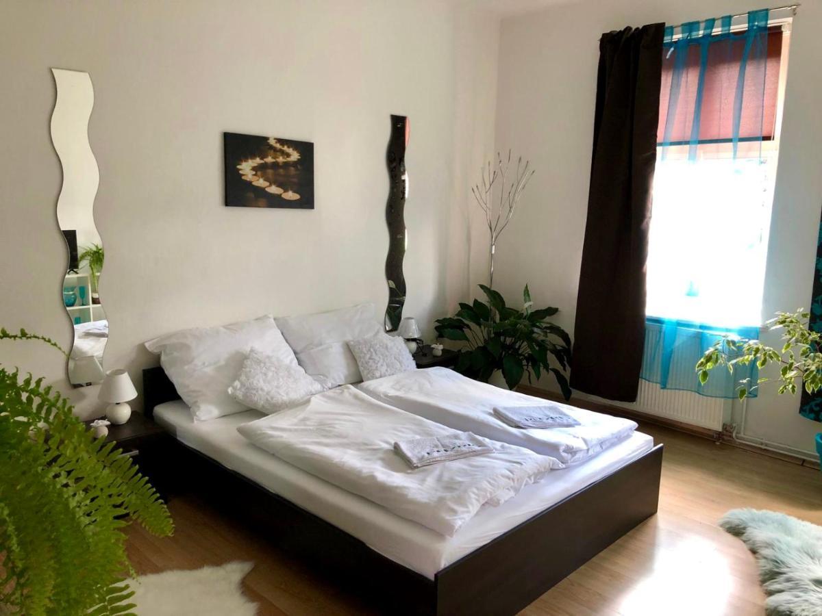 Beauty-Spa Apartment Дечин Экстерьер фото