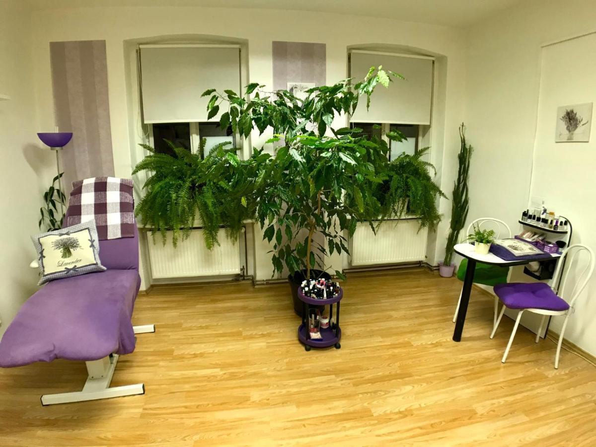 Beauty-Spa Apartment Дечин Экстерьер фото