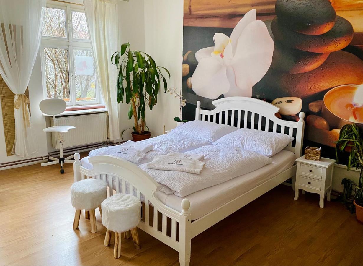 Beauty-Spa Apartment Дечин Экстерьер фото